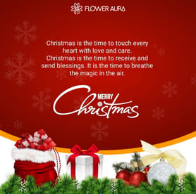 merry christmas wishes